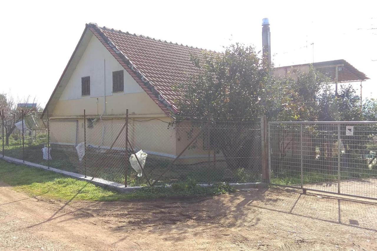 Mallios Country House Near أولمبيا المظهر الخارجي الصورة